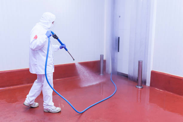 Best Building Exterior Washing  in Huntingtown, MD